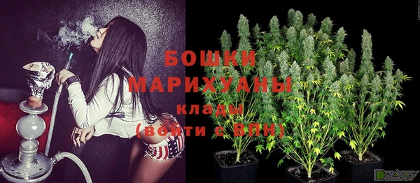 СК Коряжма