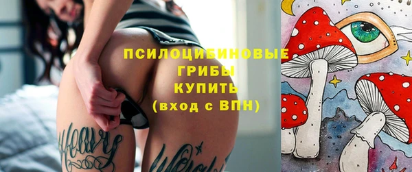 СК Коряжма