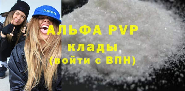 СК Коряжма